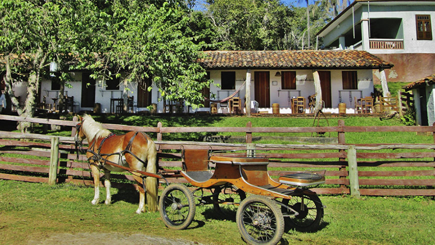 hotel fazenda com cavalo, história e cultura