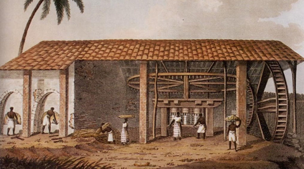 história da cachaça no Brasil
